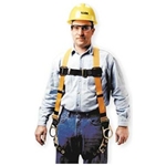 Titan Back & Side D-Ring Harness