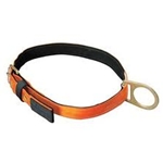 Body Belt w/ Single D-ring