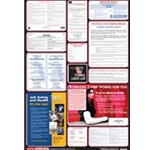 5 in 1 Federal Labor Law Sign