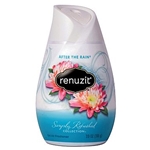 Solid Air Freshener