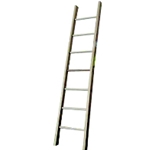 Aluminum Single Ladder 10'