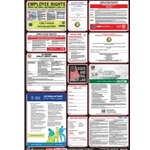 Combo Labor Law Poster
