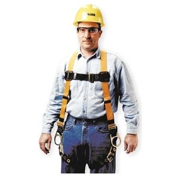 Titan Back & Side D-Ring Harness