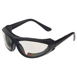 Guard Dog Black Frame Clear Lens Safety Glass