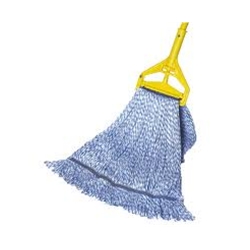 Mop Handle w/ Head