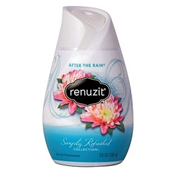 Solid Air Freshener