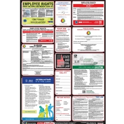 Combo Labor Law Poster
