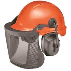 Mesh visor